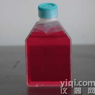 猪肾传代细胞；IBRS-2