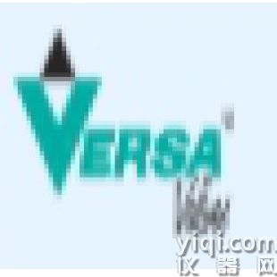 Versa 阀门 DSM-3301-316-CHN-XDDS1-D 024