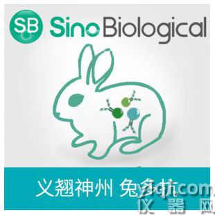 CRP,兔多抗