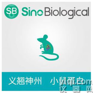 重組小鼠 AGER / RAGE 蛋白 (His標(biāo)簽)