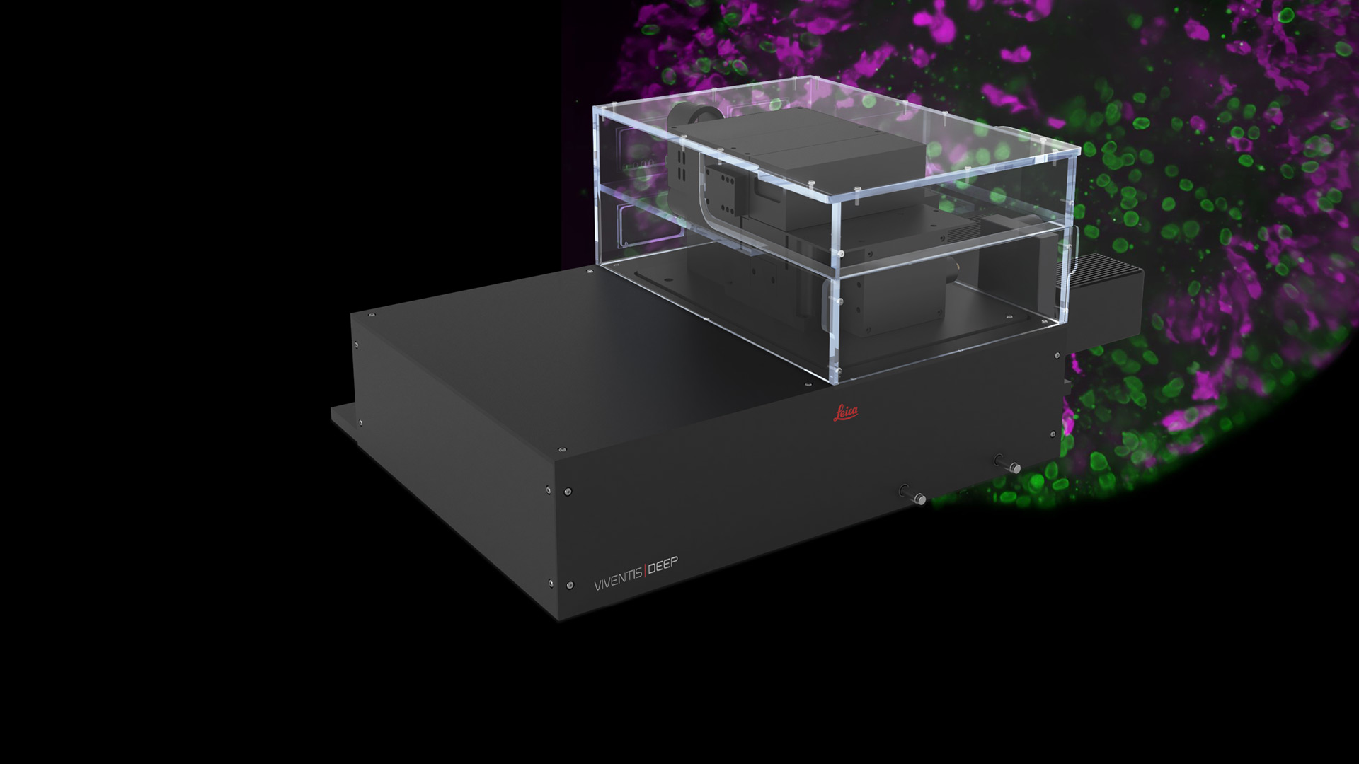 Viventis-Deep-Header-V3.jpg