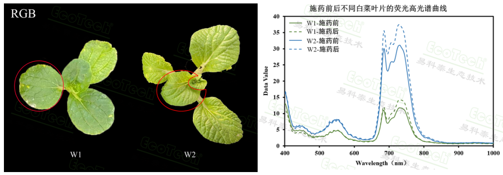 易科泰植物表型成像技术在植保领域的应用