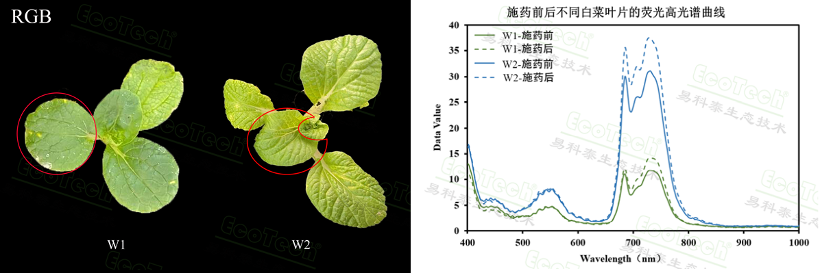 易科泰预祝中国植物保护学会2024年学术年会成功召开—植保领域案例集锦