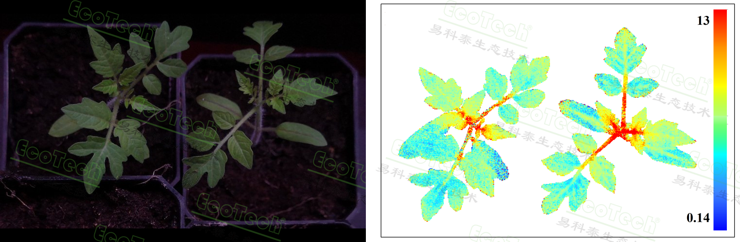 易科泰预祝中国植物保护学会2024年学术年会成功召开—植保领域案例集锦
