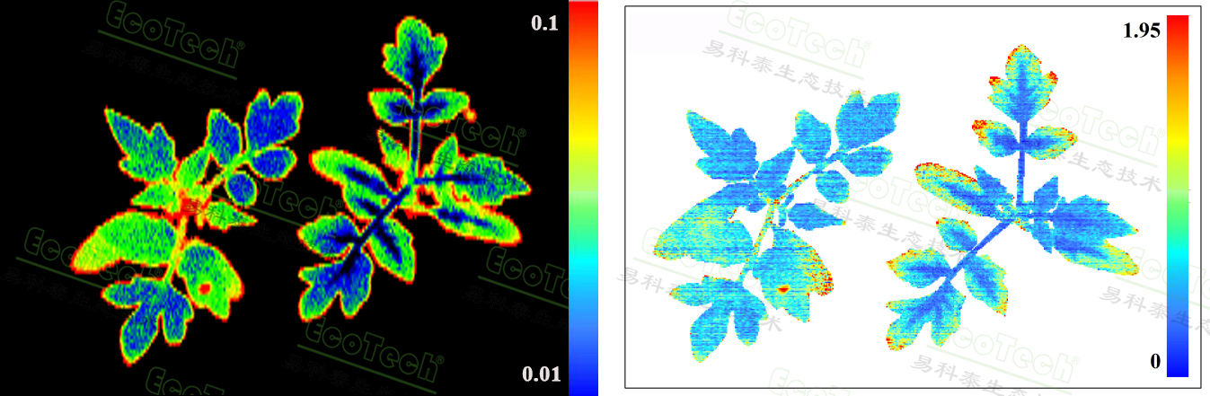 易科泰预祝中国植物保护学会2024年学术年会成功召开—植保领域案例集锦