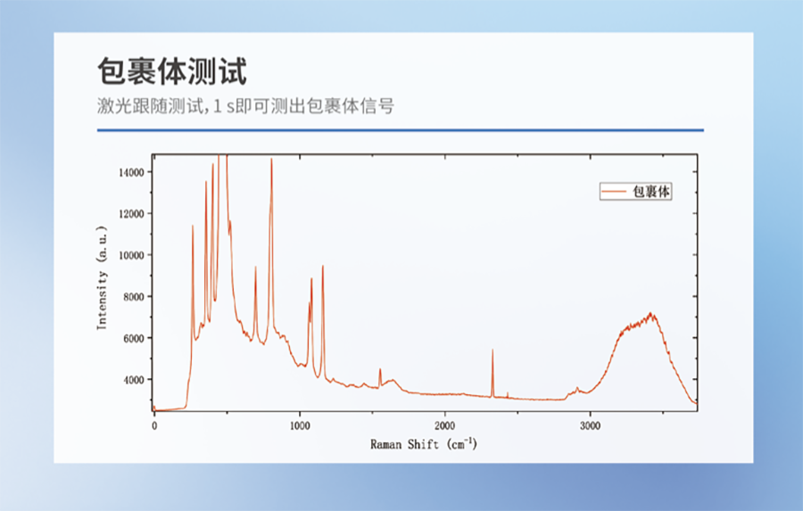 截屏2024-10-31 下午1.16.15.png