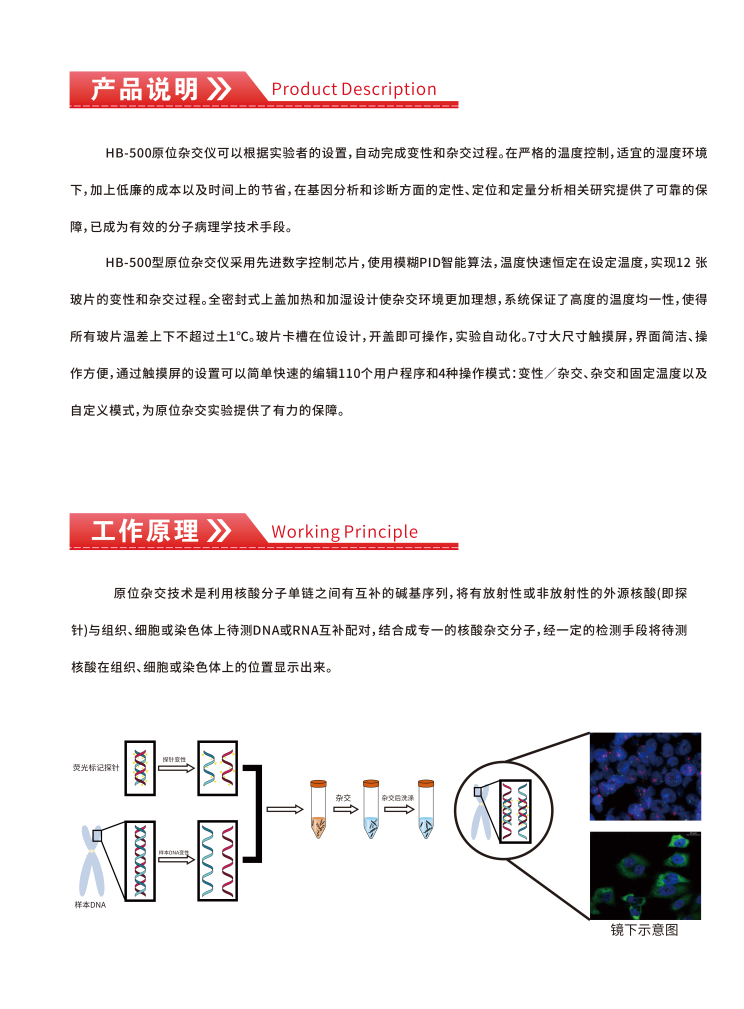 原位雜交儀彩頁_01(1).png