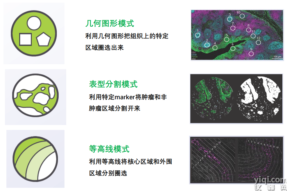 彈性選擇感興趣區(qū)域（ROI）.png
