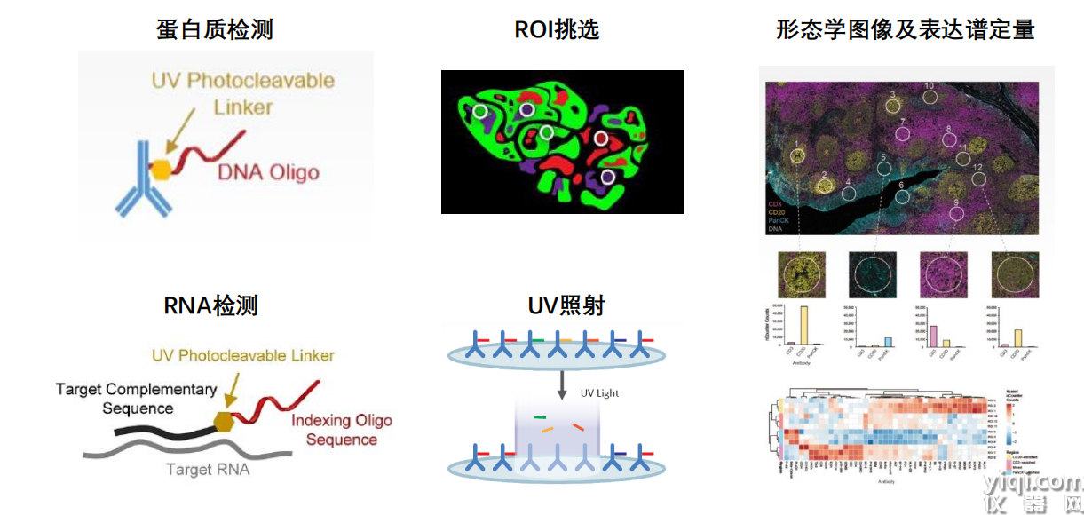 技術(shù)原理.png