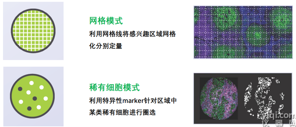 彈性選擇2.png