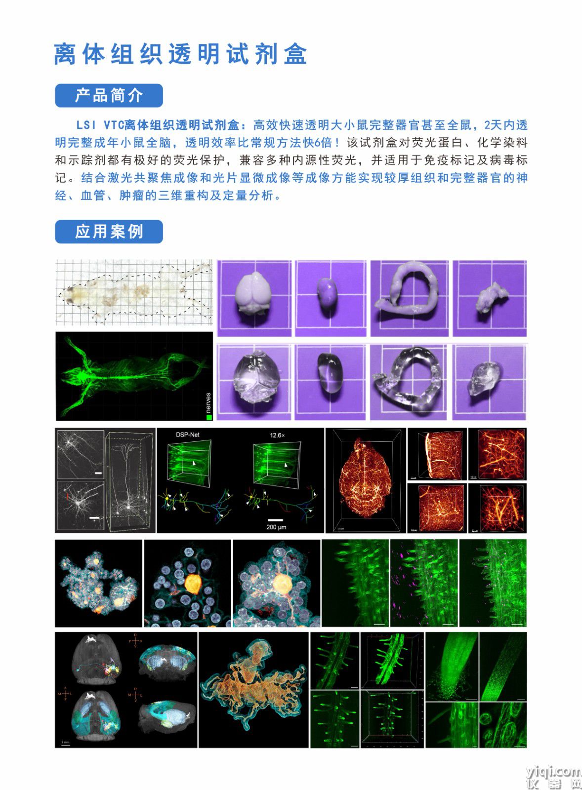 離體透明試劑盒.jpg
