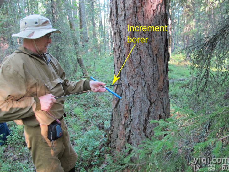 increment-borer.png