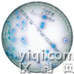 scan_chromogenicpetridish_web-a0fe6.jpg