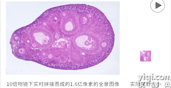 圖像拼接視頻.png