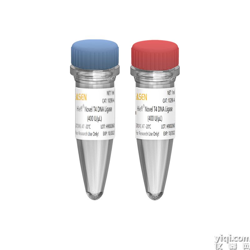 Hieff<sup>®</sup> Novel T4 DNA Ligase(400 U/µL)
