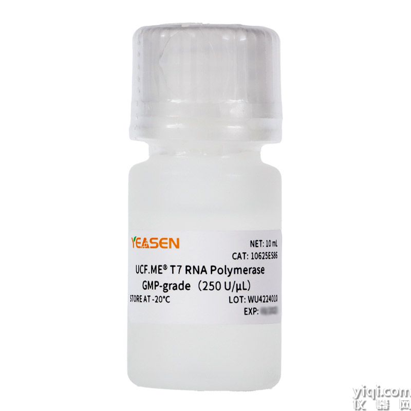 T7 RNA Polymerase GMP-grade (250 U/μL)