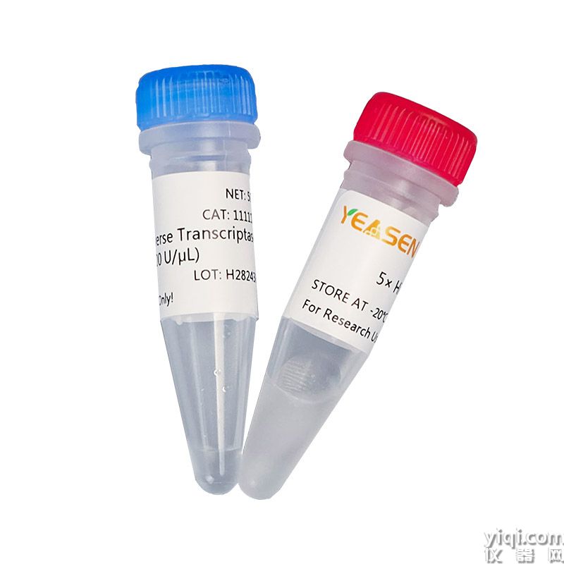 三代逆转录酶含甘油Hifair<sup>®</sup> Ⅲ Reverse Transcriptase