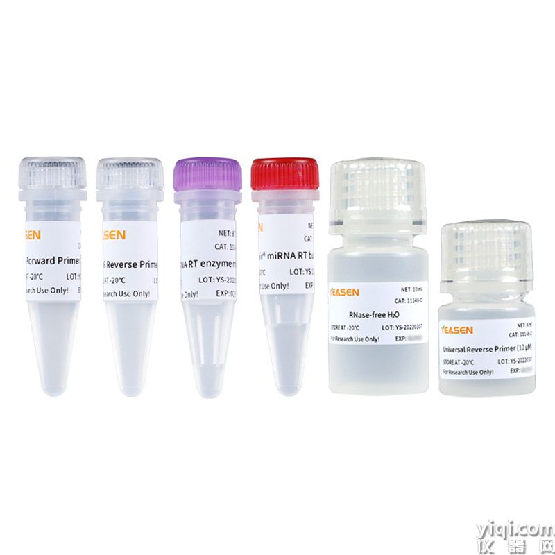 Hifair? miRNA 1st Strand cDNA Synthesis Kit(加 A 法)