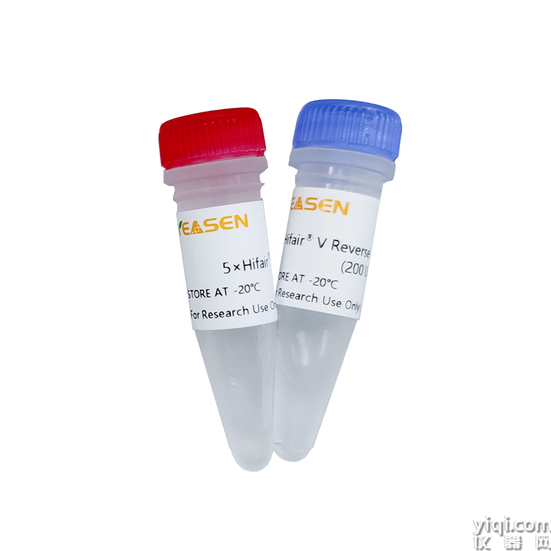 五代逆转录酶含甘油Hifair® V Reverse Transcriptase(1000 U/μL)