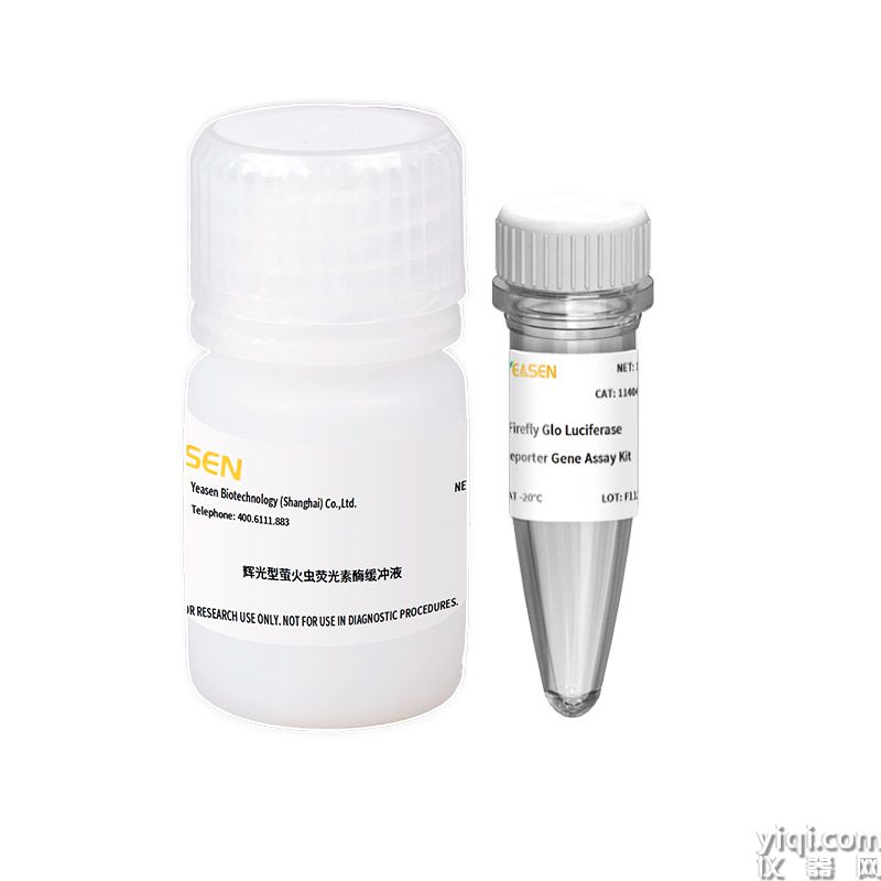 Firefly Glo Luciferase Reporter Gene Assay Kit 辉光型萤火虫萤光素酶报告基因检测试剂盒