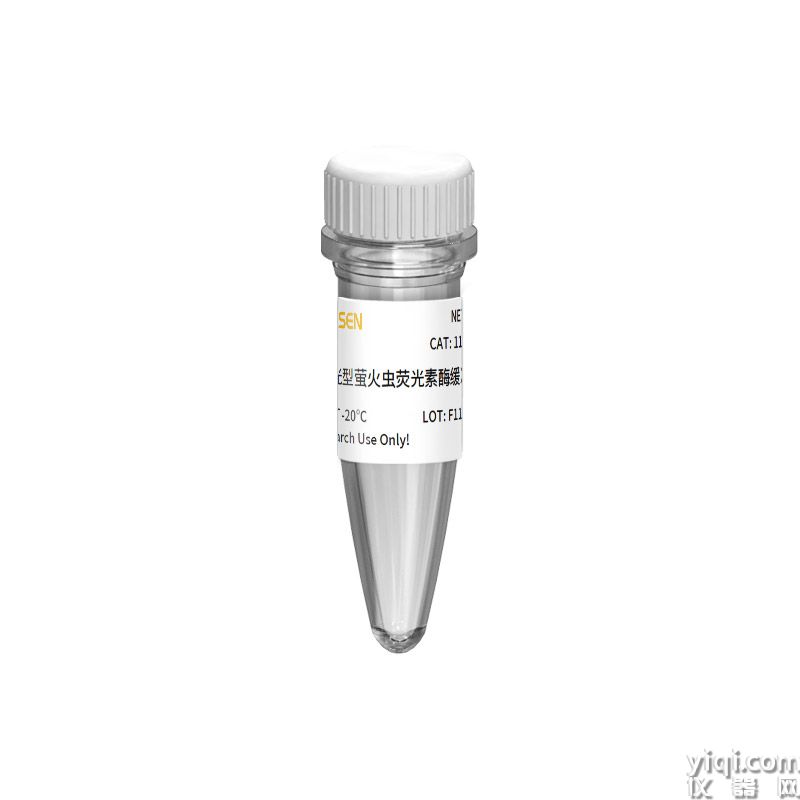Dual Glo Luciferase Reporter Gene Assay Kit 辉光型双荧光素酶报告基因检测试剂盒