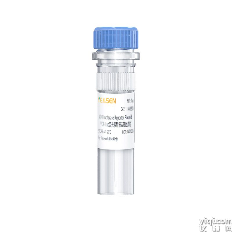 VDR(Vitamin D Receptor) luciferase reporter plasmid(VDR-Luc荧光素酶报告基因质粒)