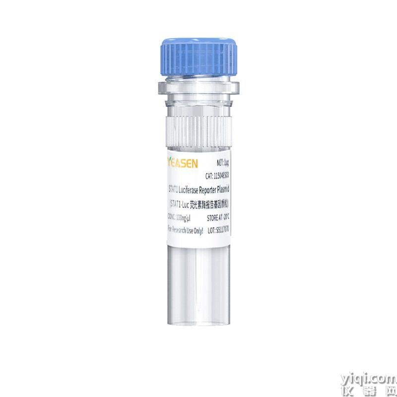 STAT1 Luciferase Reporter Plasmid（STAT1-Luc荧光素酶报告基因质粒）