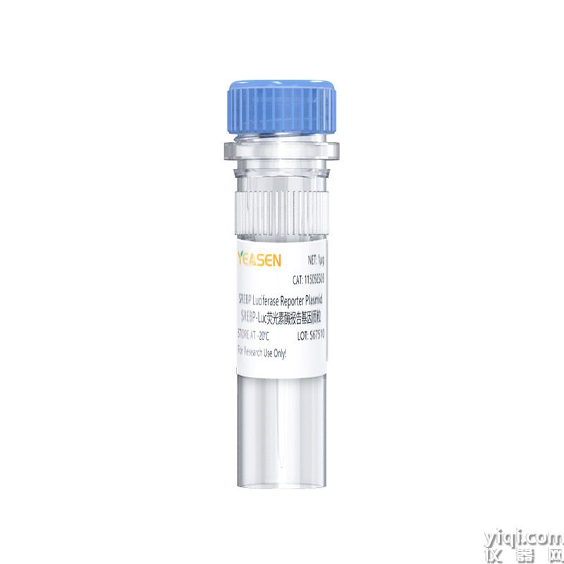 SREBP Luciferase Reporter Plasmid（SREBP-Luc荧光素酶报告基因质粒）