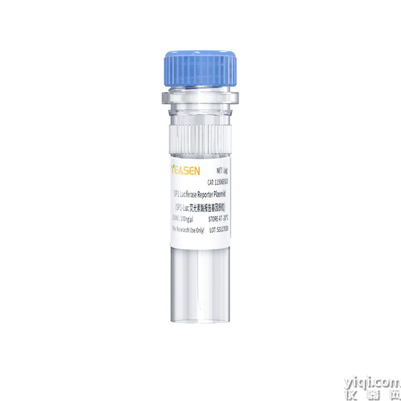 SP1 Luciferase Reporter Plasmid(SP1-Luc荧光素酶报告基因质粒)