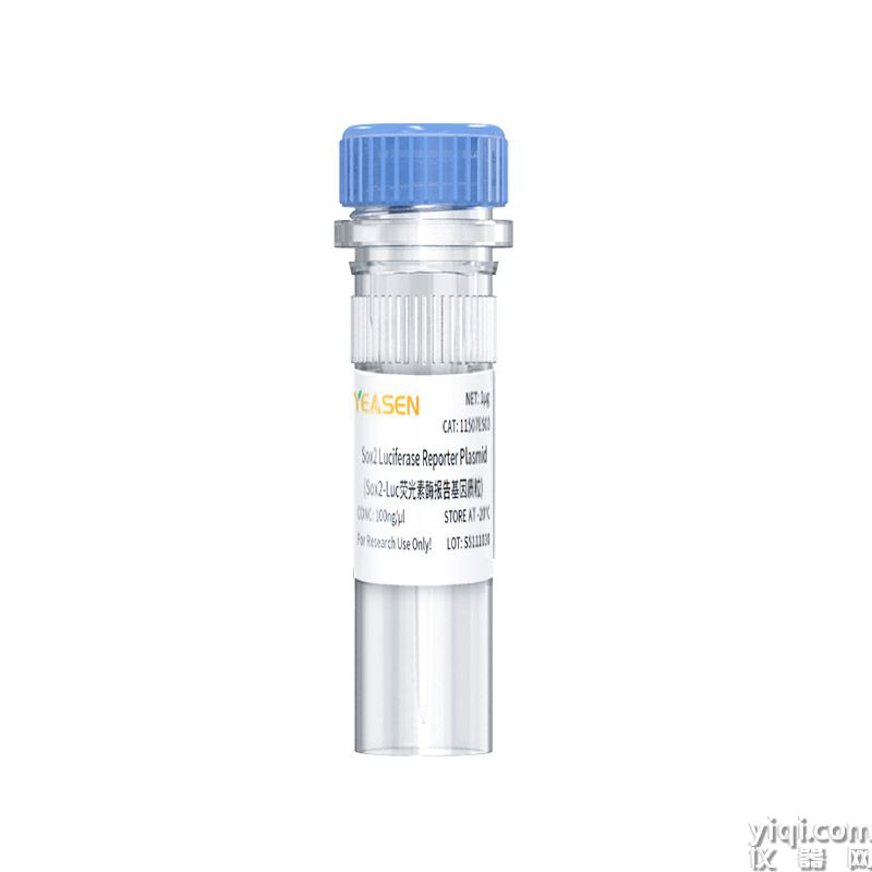 Sox2 Luciferase Reporter Plasmid(Sox2-Luc荧光素酶报告基因质粒)