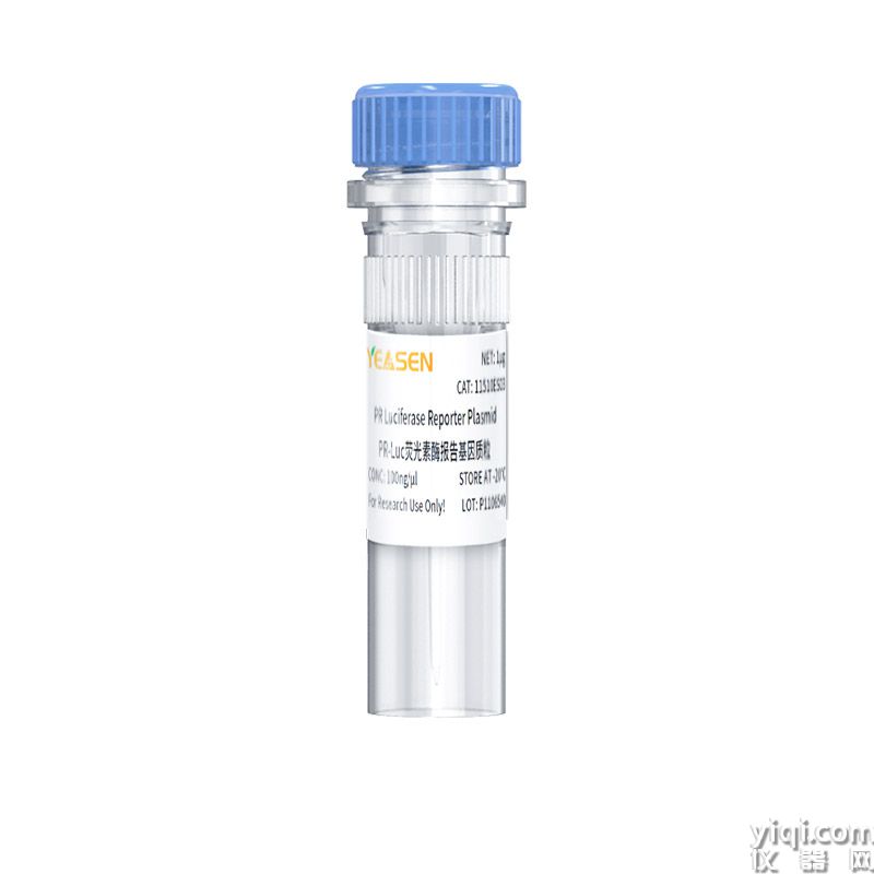 Progesterone receptor luciferase reporter plasmid PR-Luc荧光素酶报告基因质粒