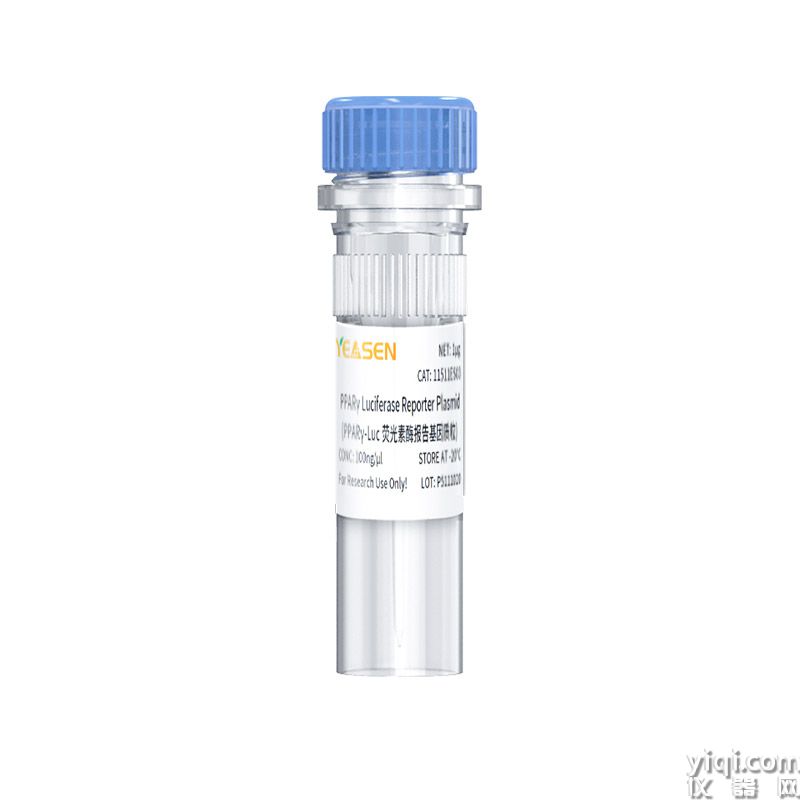 PPARγ Luciferase Reporter Plasmid（PPARγ-Luc荧光素酶报告基因质粒）