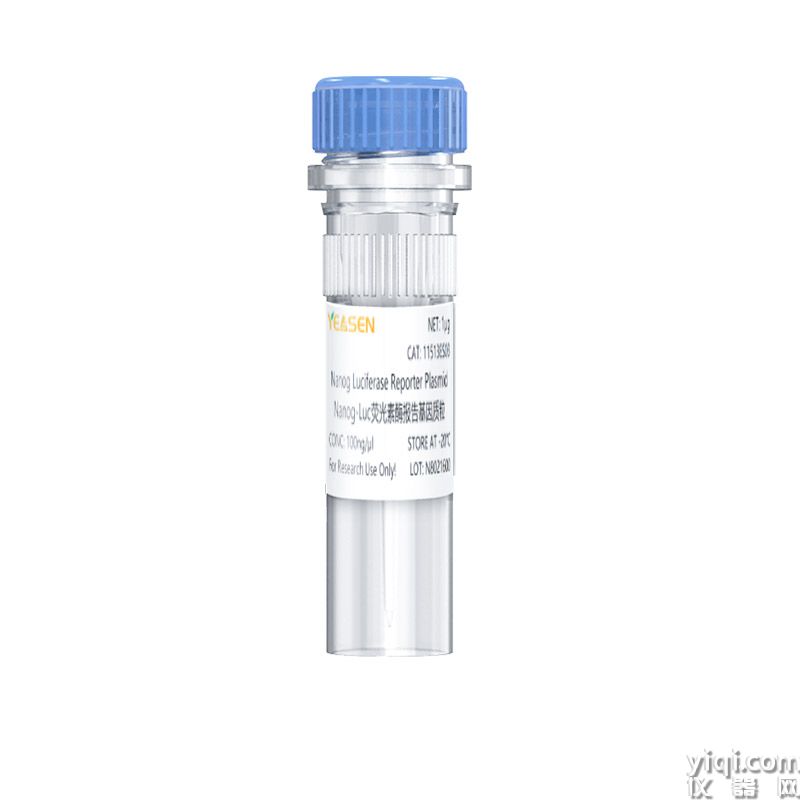 Nanog luciferase reporter plasmid Nanog-Luc荧光素酶报告基因质粒