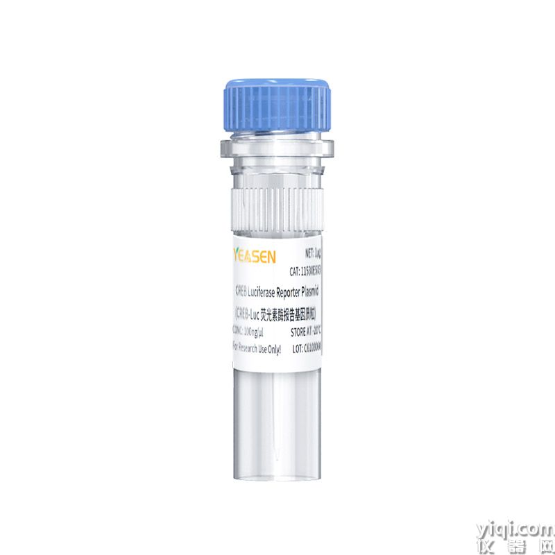 CREB Luciferase Reporter Plasmid（CREB-Luc荧光素酶报告基因质粒）