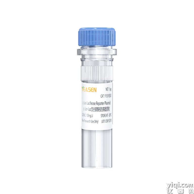 c-Jun Luciferase Reporter Plasmid(c-Jun-Luc荧光素酶报告基因质粒)