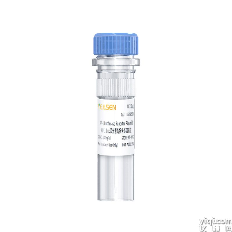 AP-1 luciferase reporter plasmid AP-1-Luc荧光素酶报告基因质粒