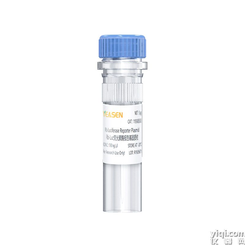Rb Luciferase Reporter Plasmid（Rb-Luc荧光素酶报告基因质粒）