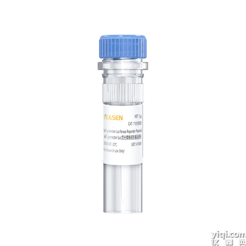 AAT-promoter Luciferase Reporter Plasmid(AAT-promoter-Luc荧光素酶报告基因质粒)