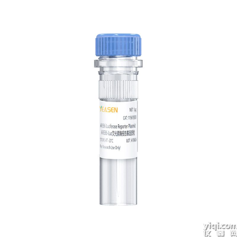 AREB6 Luciferase Reporter Plasmid(AREB6-Luc荧光素酶报告基因质粒)