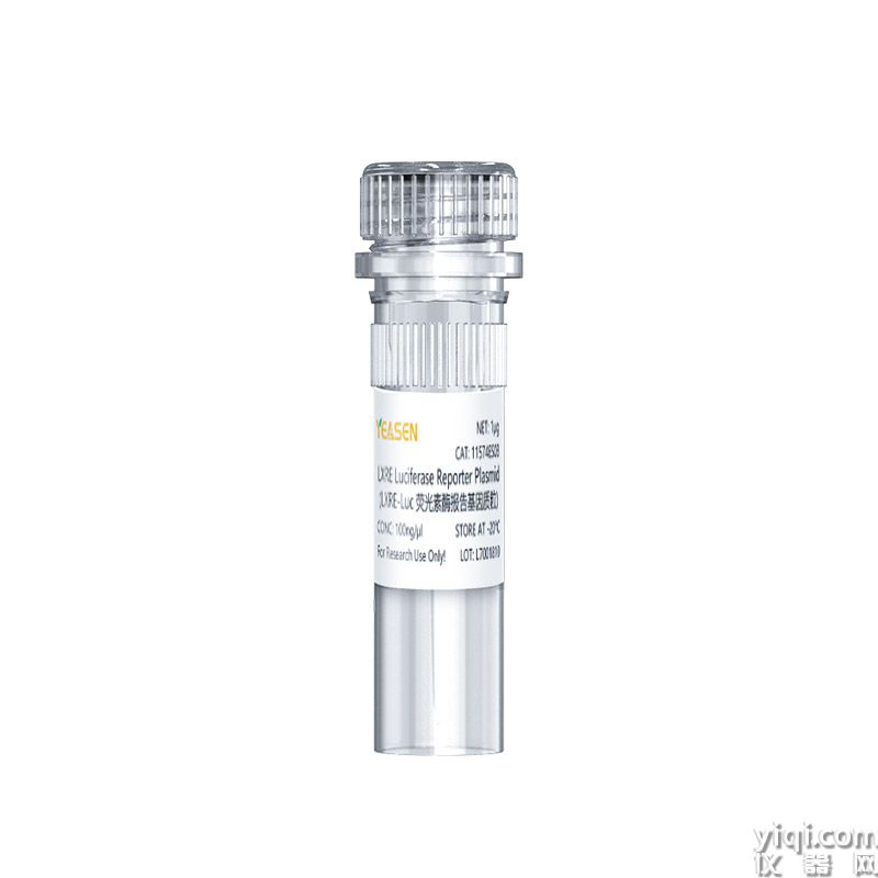 LXRE Luciferase Reporter Plasmid(LXRE-Luc荧光素酶报告基因质粒)