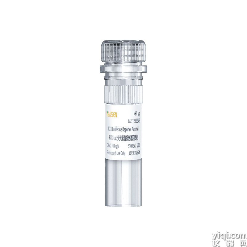 RXR Luciferase Reporter Plasmid RXR-Luc荧光素酶报告基因质粒