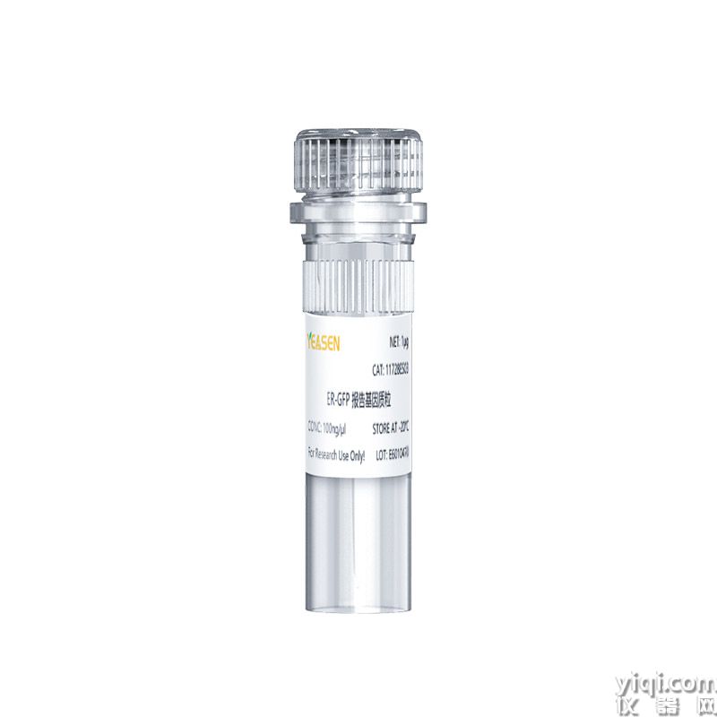 Estrogen Receptor(ER) GFP Reporter Plasmid ER-GFP报告基因质粒