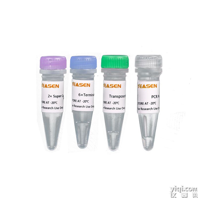 HieffNGS<sup>®</sup> Fast Tagment DNA Library Prep Kit for Illumina<sup>®</sup>(for 1 ng)