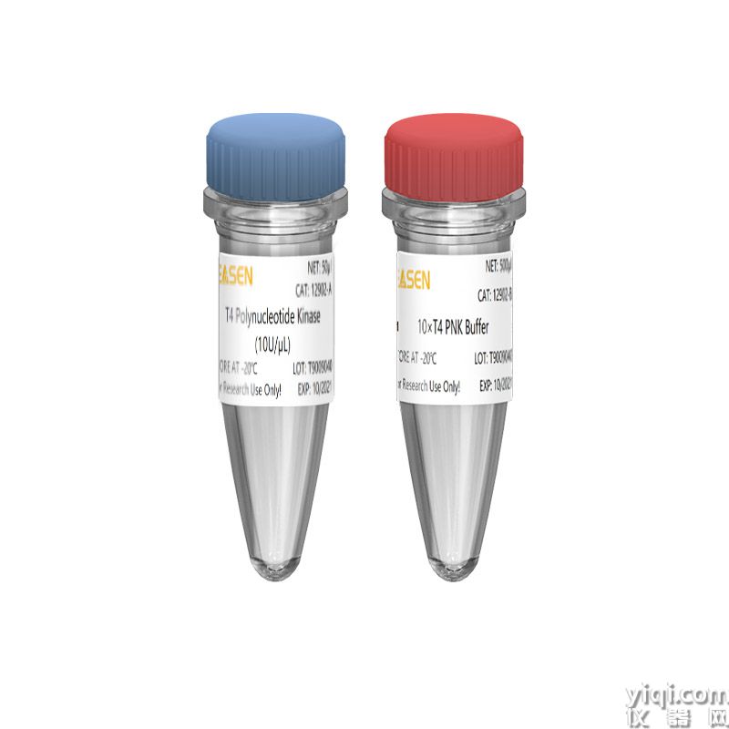 T4 Polynucleotide kinase T4多聚核苷酸激酶(10 U/μL)