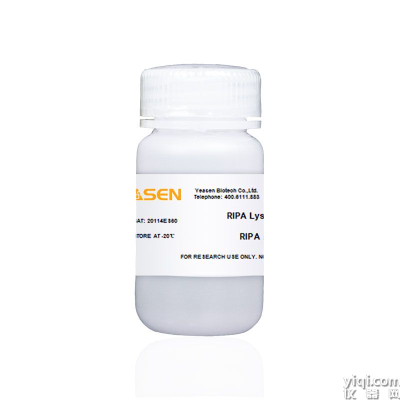 RIPA lysis buffer(Weak) RIPA裂解液(弱)