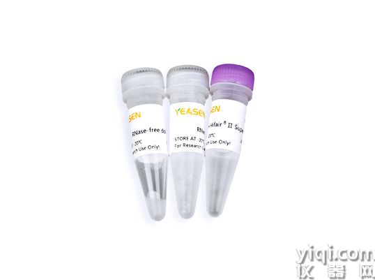 Hifair<sup>?</sup> Ⅱ 1st Strand cDNA Synthesis SuperMix