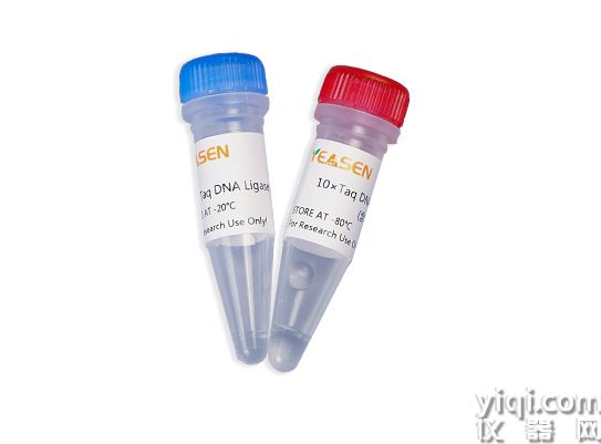 Taq DNA連接酶(Taq DNA Ligase)