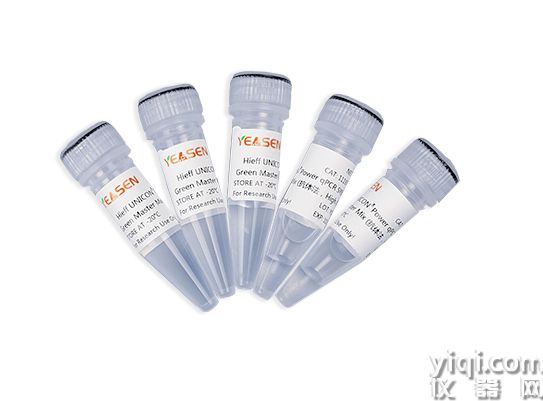 Hieff UNICON<sup>?</sup> Power qPCR SYBR Green Master Mix(抗體法,High Rox)