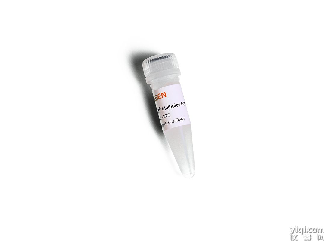 Hieff<sup>®</sup> Multiplex PCR Master Mix