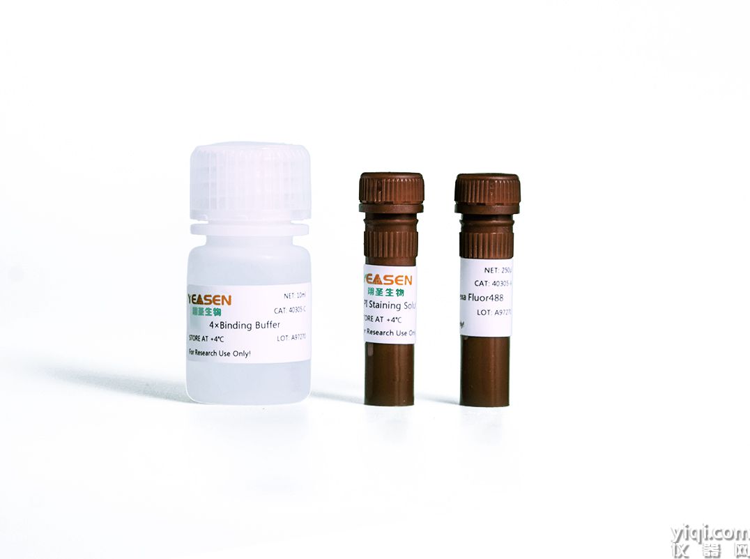 Annexin V-YSFluorTM 488/PI Apoptosis Detection Kit Annexin V-YSFluorTM 488/PI 細胞凋亡檢測試劑盒